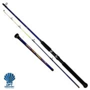 DFT Sun Valley 180 cm Bot Kamışı 60-120 g